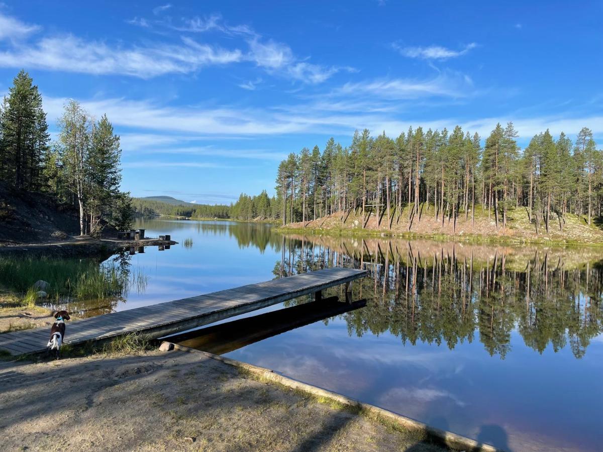 Вилла Fjaellhus 3 Идре Экстерьер фото